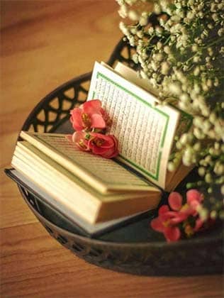 Learn Online Shia Quran Teacher